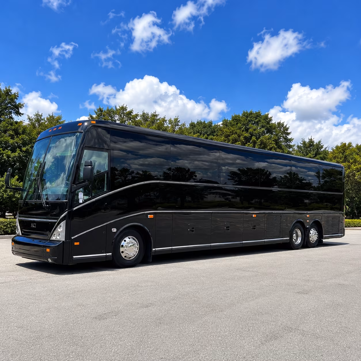 zoo safari and aquarium trips from boynton beach made easy